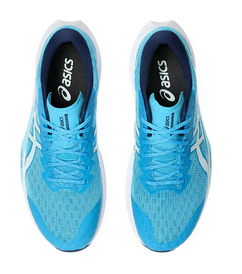 asicsバッシュ GEL-DEDICATE 8 PICKLEBALL | Men | Cream / Tranquil Teal
